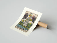Rolled Winged angel pouring water between cups poster beside its crush-resistant kraft shipping tube