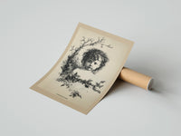 Rolled Curly-haired child's head with holly wreath poster beside its crush-resistant kraft shipping tube