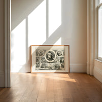 Santa Claus Christmas montage engraving print in an oak frame on a sunlit wood floor beneath tall window light