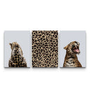 Three leopard print posters featuring a rear-view portrait, animal pattern, and roaring leopard on grey backgrounds
