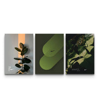 Three-panel Nike botanical triptych with rubber plant in orange light, green swoosh shapes and tropical leaves
