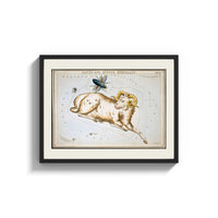 Framed Aries ram and fly constellation chart print shown as a wide statement piece on a clean white wall