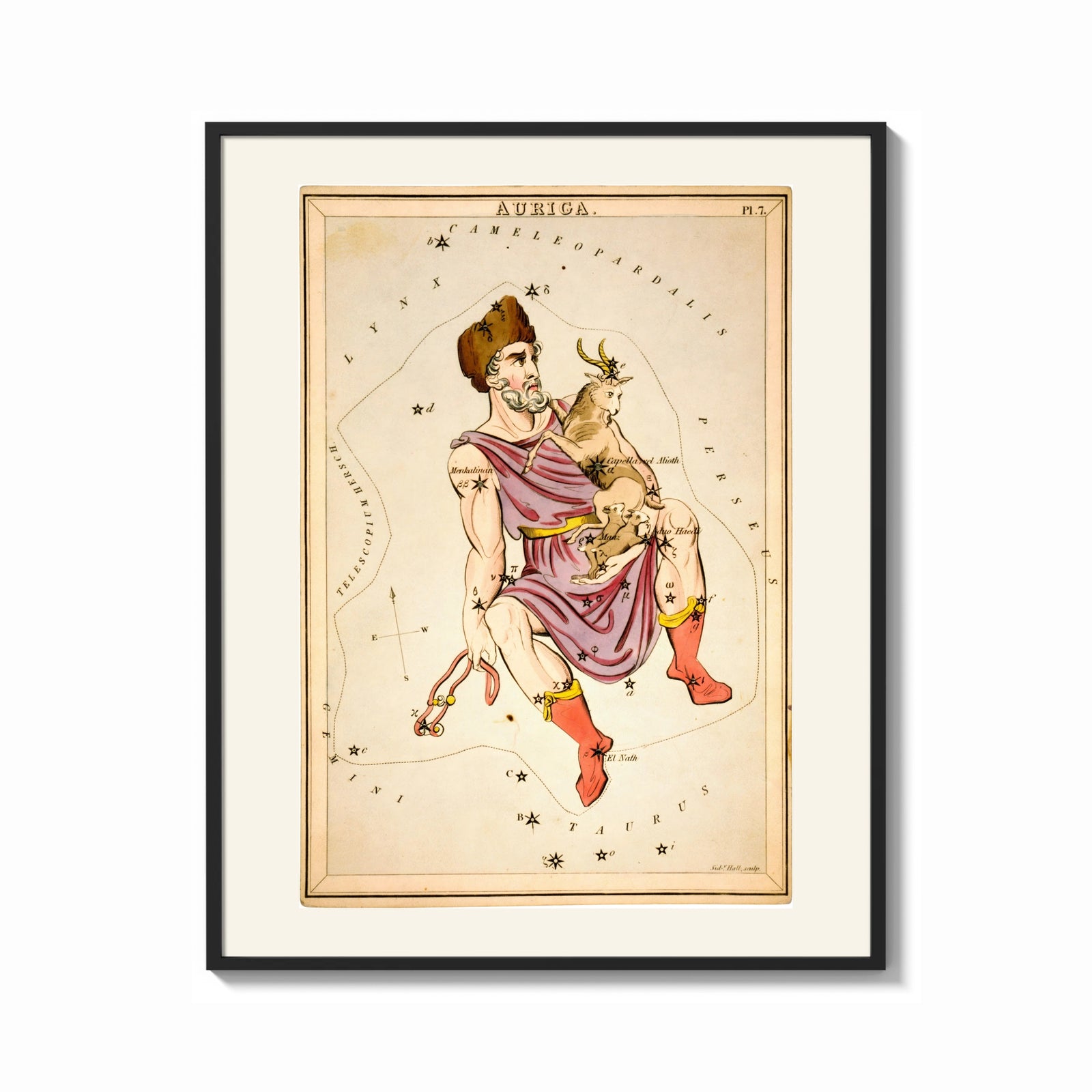 Framed Auriga constellation charioteer holding goat print shown as a bold statement piece on a clean gallery wall