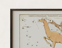 Close-up of the Camelopardalis constellation giraffe with figures print's dark wood frame corner and archival matte paper