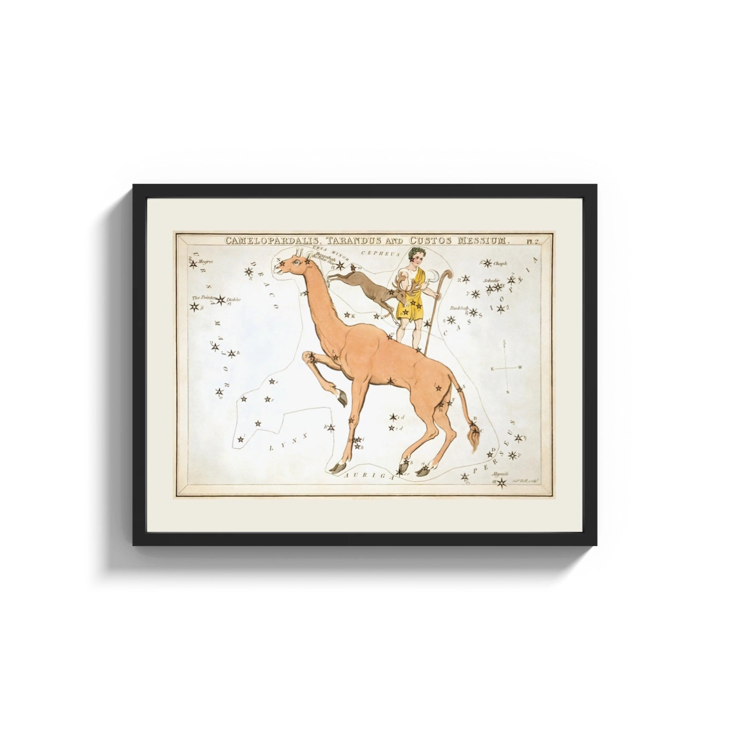 Framed Camelopardalis constellation giraffe with figures print shown as a wide statement piece on a clean white wall