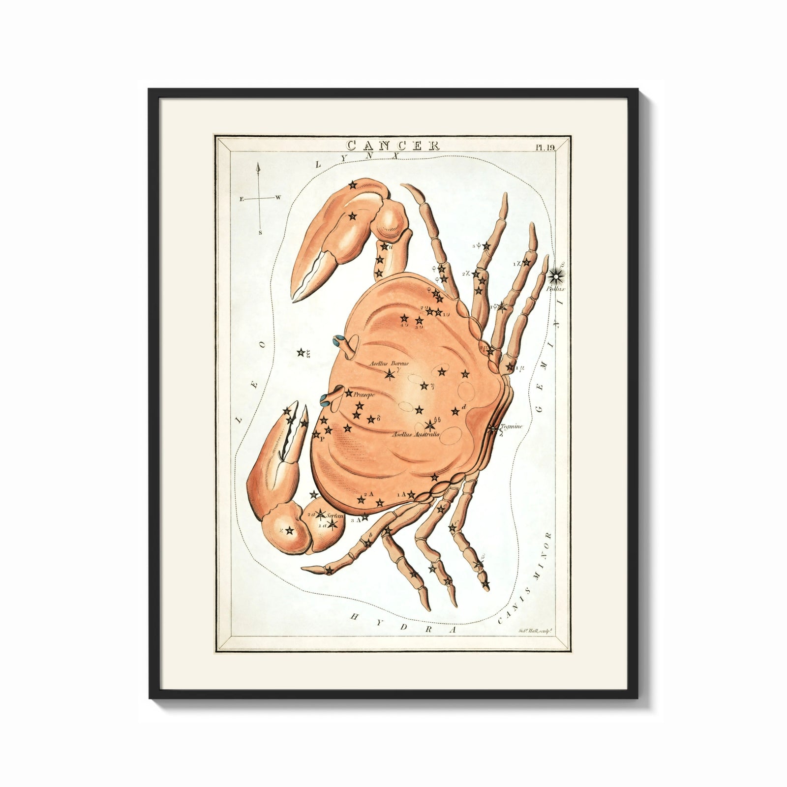 Framed Cancer crab zodiac constellation illustration print shown as a bold statement piece on a clean gallery wall