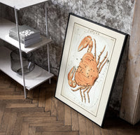 Cancer crab zodiac constellation illustration poster in a black frame leaning beside a shelf in a raw-plaster loft