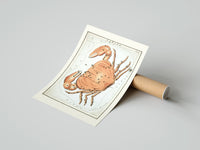 Rolled Cancer crab zodiac constellation illustration poster beside its crush-resistant kraft shipping tube
