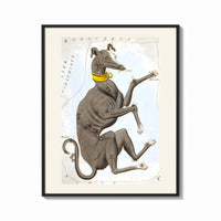 Framed Canis Major dog constellation figure print shown as a bold statement piece on a clean gallery wall