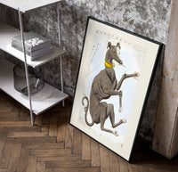 Canis Major dog constellation figure poster in a black frame leaning beside a shelf in a raw-plaster loft