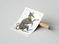 Rolled Canis Major dog constellation figure poster beside its crush-resistant kraft shipping tube