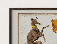 Close-up of the Canis Major, Lepus, Columba constellations chart print's dark wood frame corner and archival matte paper