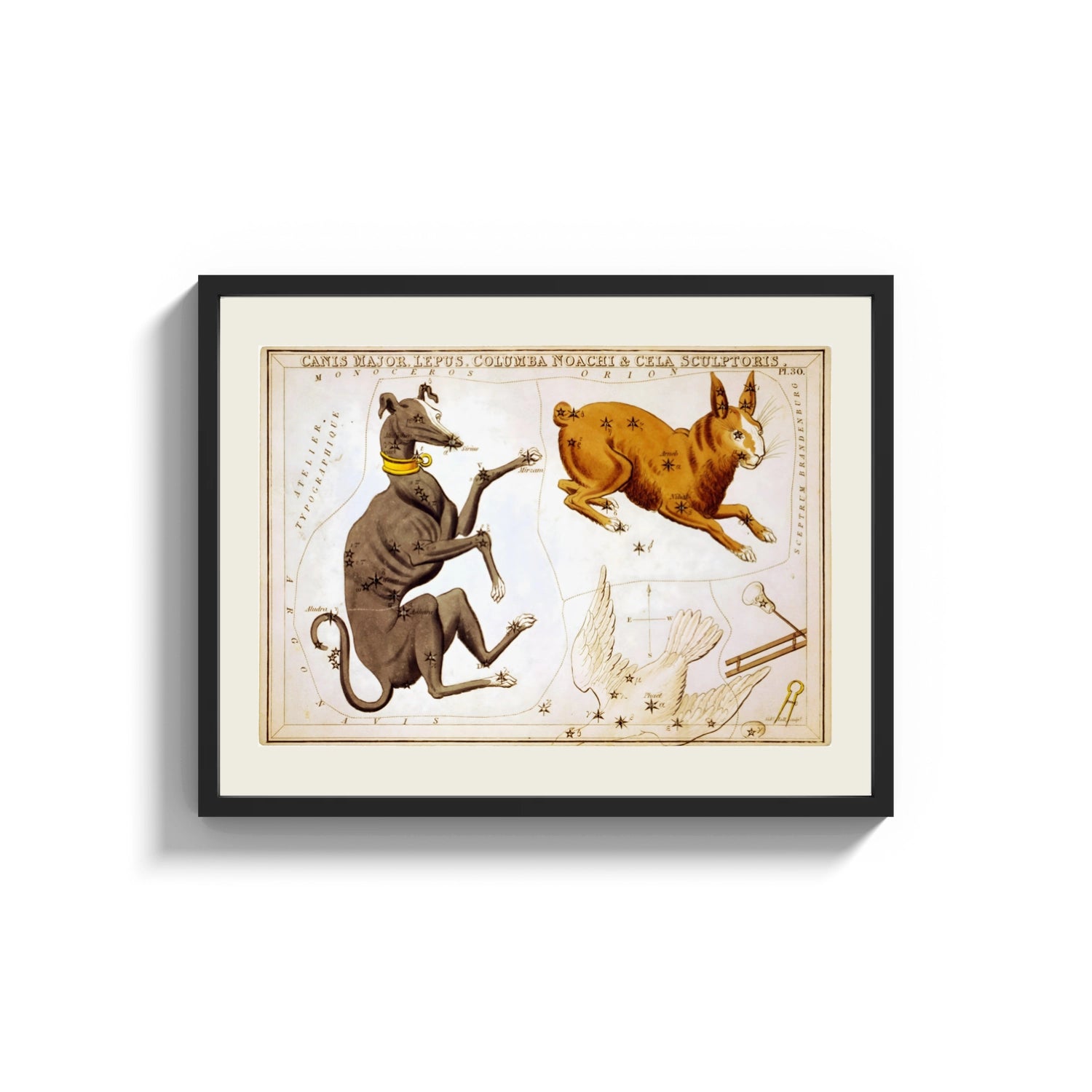 Framed Canis Major, Lepus, Columba constellations chart print shown as a wide statement piece on a clean white wall