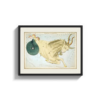 Framed Capricornus sea-goat constellation figure print shown as a wide statement piece on a clean white wall