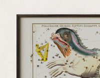 Close-up of the Cetus the whale constellation chart print's dark wood frame corner and archival matte paper
