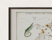 Close-up of the Celestial constellation star chart with animals print's dark wood frame corner and archival matte paper