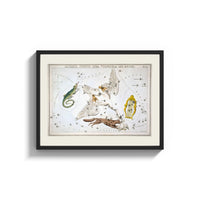 Framed Celestial constellation star chart with animals print shown as a wide statement piece on a clean white wall