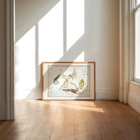 Celestial constellation star chart with animals print in an oak frame on a sunlit wood floor beneath tall window light