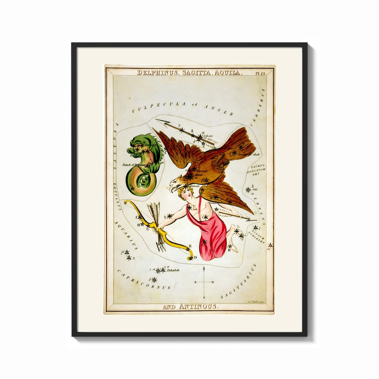 Framed Antinous, eagle and dolphin constellations print shown as a bold statement piece on a clean gallery wall