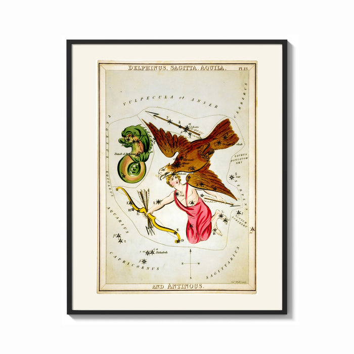 Framed Antinous, eagle and dolphin constellations print shown as a bold statement piece on a clean gallery wall