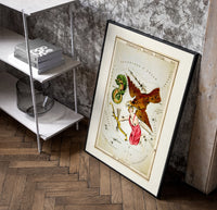 Antinous, eagle and dolphin constellations poster in a black frame leaning beside a shelf in a raw-plaster loft