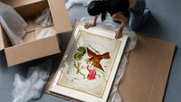 Antinous, eagle and dolphin constellations framed print being unpacked from protective bubble wrap and a box