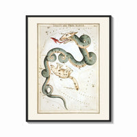 Framed Draco dragon and Ursa Minor bear constellations print shown as a bold statement piece on a clean gallery wall