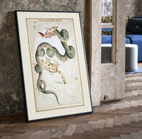Draco dragon and Ursa Minor bear constellations print in a black frame leaning beside a vintage door on parquet