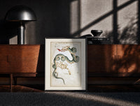 Black-framed Draco dragon and Ursa Minor bear constellations print on a moody console with designer coffee-table books
