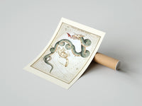 Rolled Draco dragon and Ursa Minor bear constellations poster beside its crush-resistant kraft shipping tube