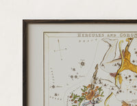 Close-up of the Hercules constellation star map figure print's dark wood frame corner and archival matte paper