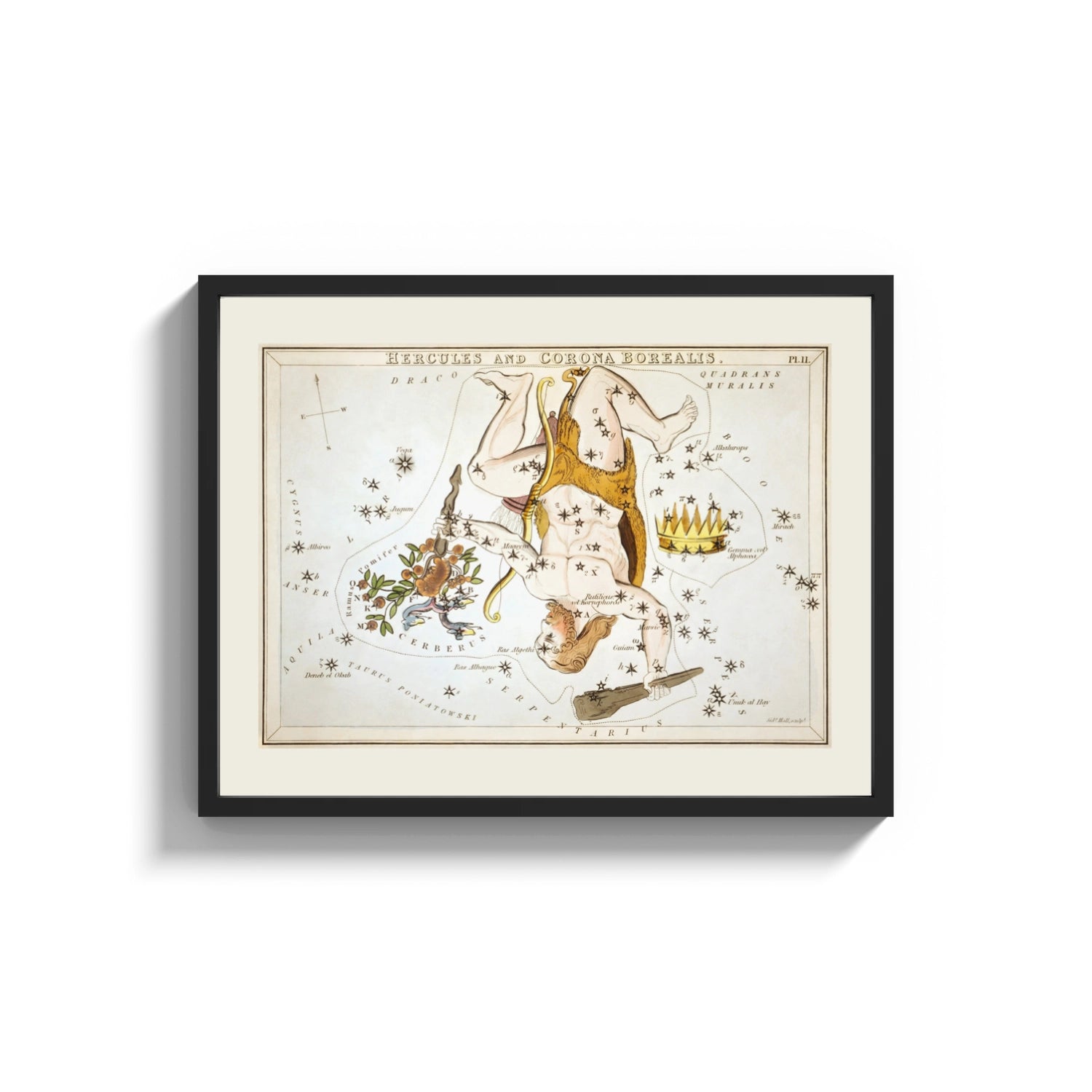Framed Hercules constellation star map figure print shown as a wide statement piece on a clean white wall