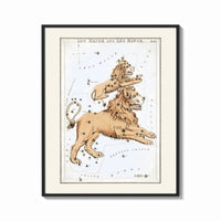 Framed Leo Major and Leo Minor constellations print shown as a bold statement piece on a clean gallery wall