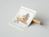 Rolled Leo Major and Leo Minor constellations poster beside its crush-resistant kraft shipping tube