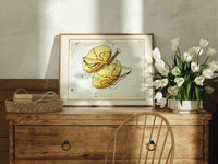 Libra constellation balance scales chart print in an oak frame on a farmhouse dresser beside white tulips