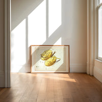Libra constellation balance scales chart print in an oak frame on a sunlit wood floor beneath tall window light