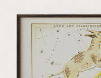 Close-up of the Lynx constellation celestial star chart print's dark wood frame corner and archival matte paper