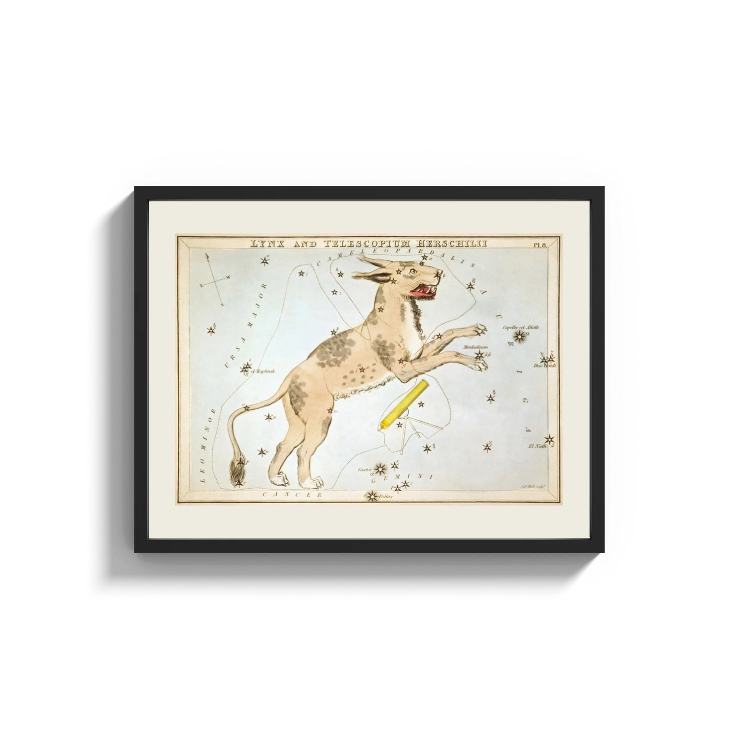 Framed Lynx constellation celestial star chart print shown as a wide statement piece on a clean white wall
