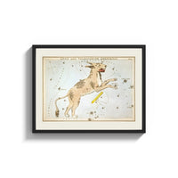 Framed Lynx constellation celestial star chart print shown as a wide statement piece on a clean white wall