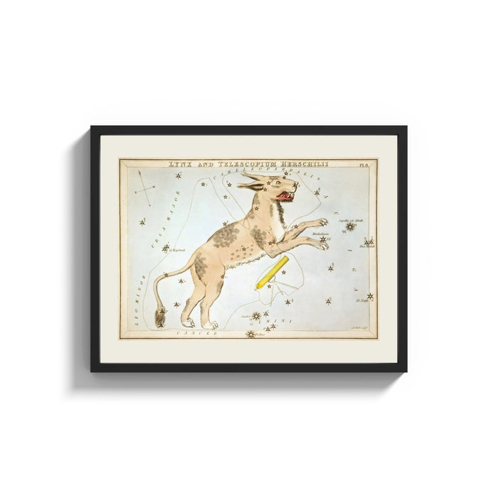 Framed Lynx constellation celestial star chart print shown as a wide statement piece on a clean white wall