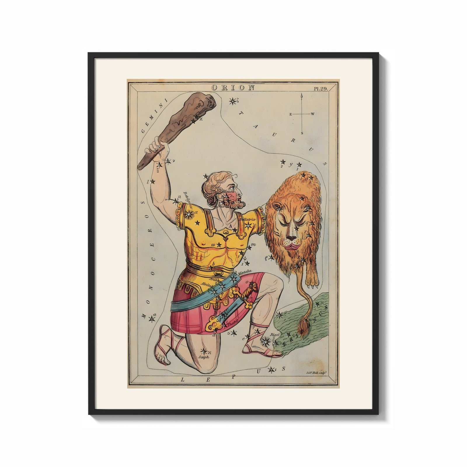 Framed Orion constellation as warrior with lion print shown as a bold statement piece on a clean gallery wall