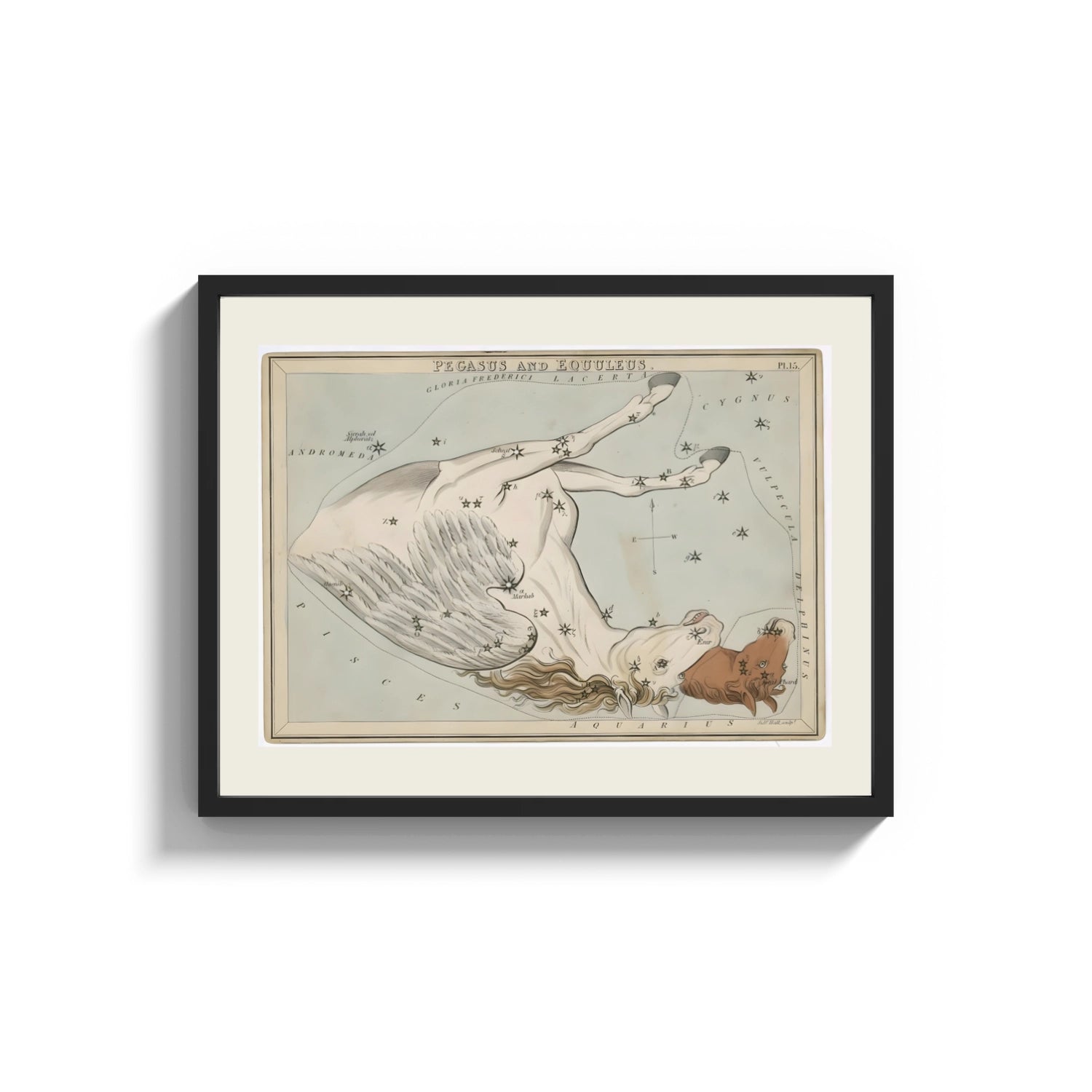 Framed Winged horse Pegasus constellation map print shown as a wide statement piece on a clean white wall