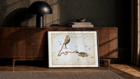 Pisces constellation with two fish print in a black frame leaning against a walnut console in lamplight