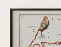 Close-up of the Pisces constellation with two fish print's dark wood frame corner and archival matte paper