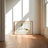 Pisces constellation with two fish print in an oak frame on a sunlit wood floor beneath tall window light