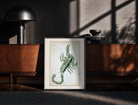 Black-framed Scorpio zodiac constellation scorpion print on a moody console with designer coffee-table books