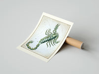 Rolled Scorpio zodiac constellation scorpion poster beside its crush-resistant kraft shipping tube