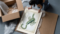 Scorpio zodiac constellation scorpion framed print being unpacked from protective bubble wrap and a box