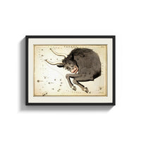 Framed Taurus bull constellation chart print shown as a wide statement piece on a clean white wall