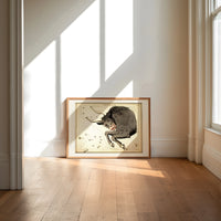 Taurus bull constellation chart print in an oak frame on a sunlit wood floor beneath tall window light